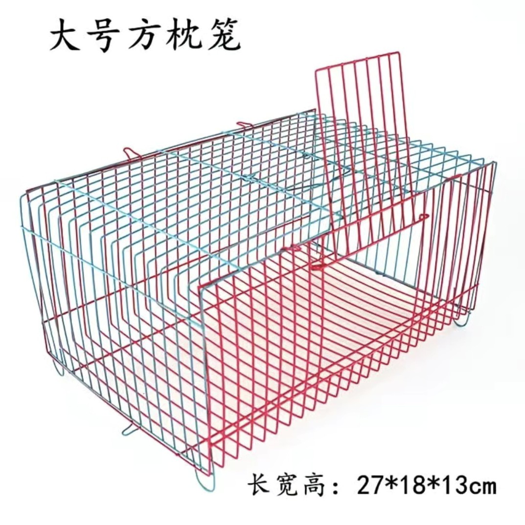 手养精品运输鸟笼