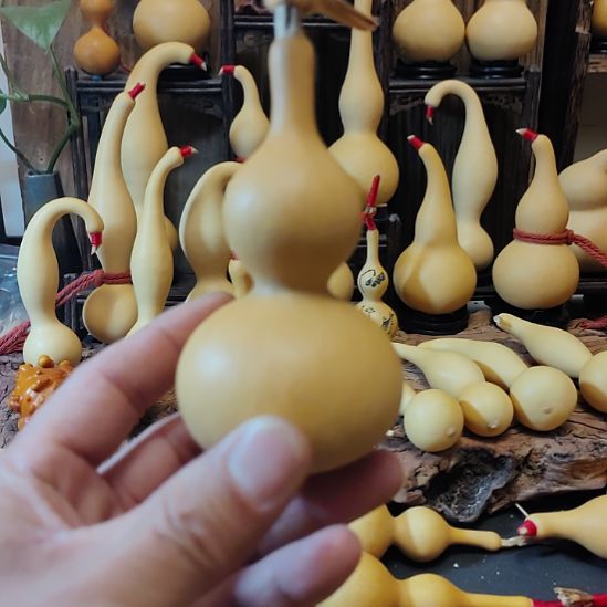 曾***你木天津嘴，皮质干净，无瑕疵