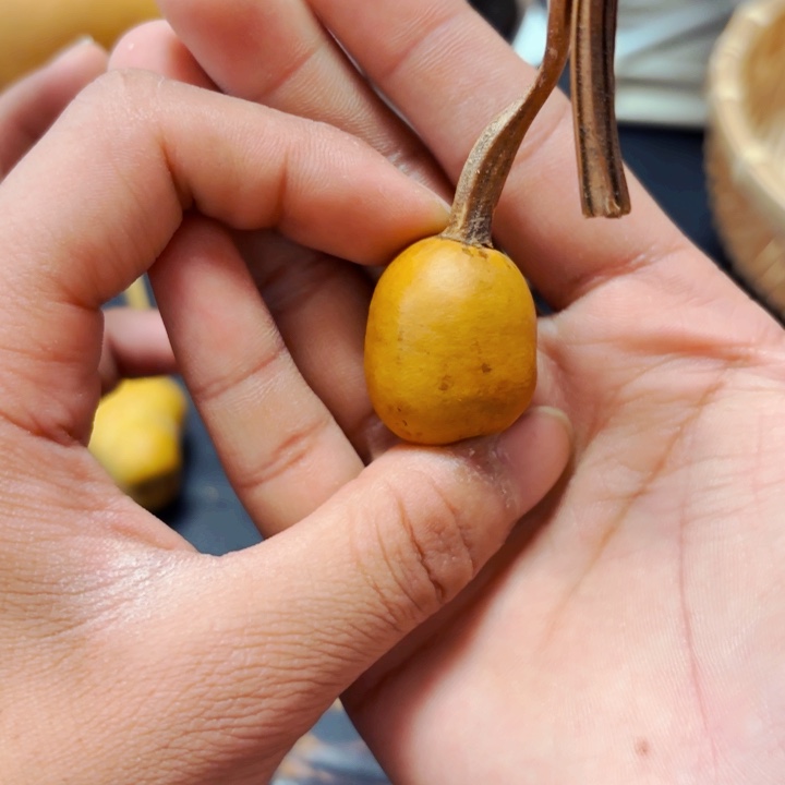 李***肉888888888888888888888