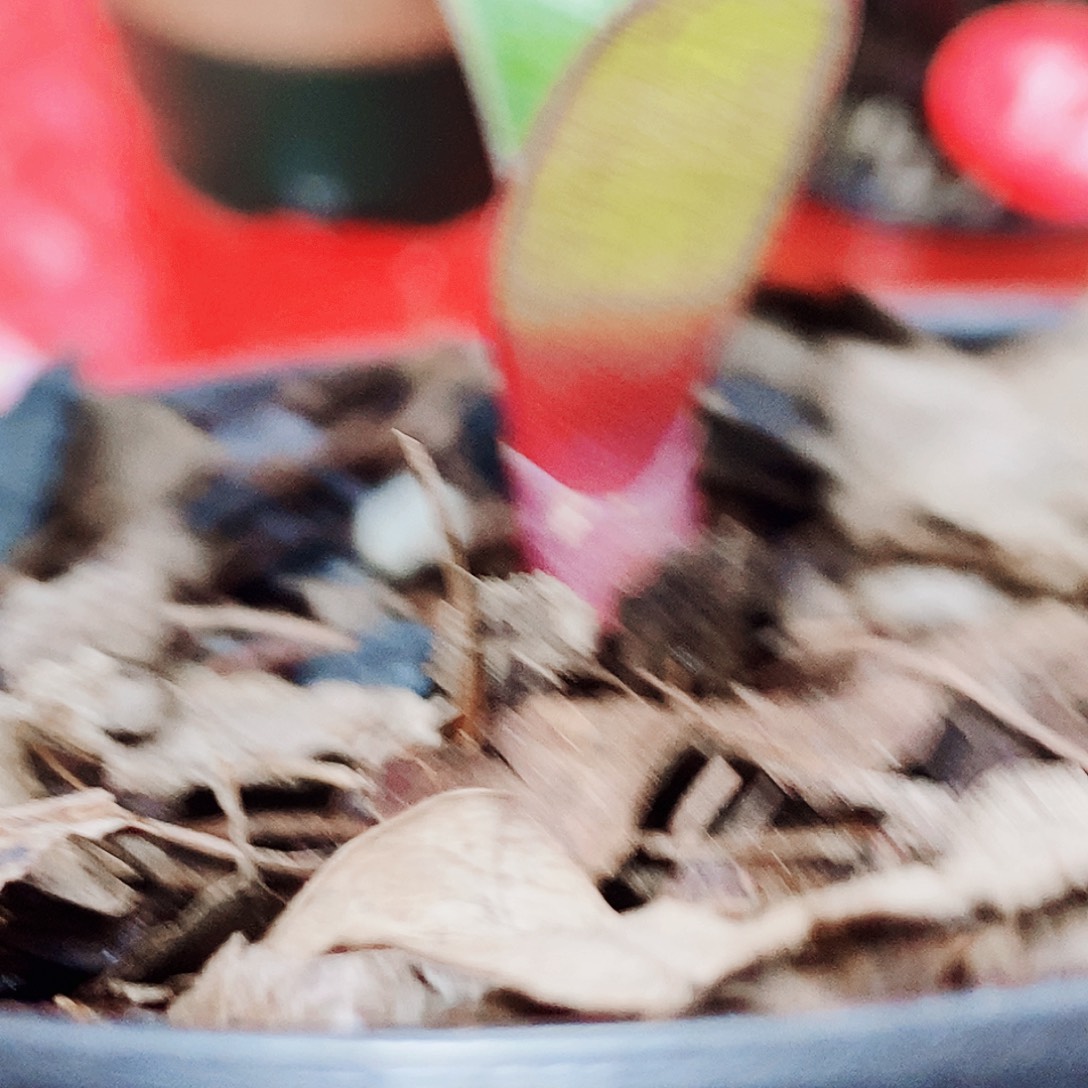 龙***夏完全开放健健康康快快乐乐