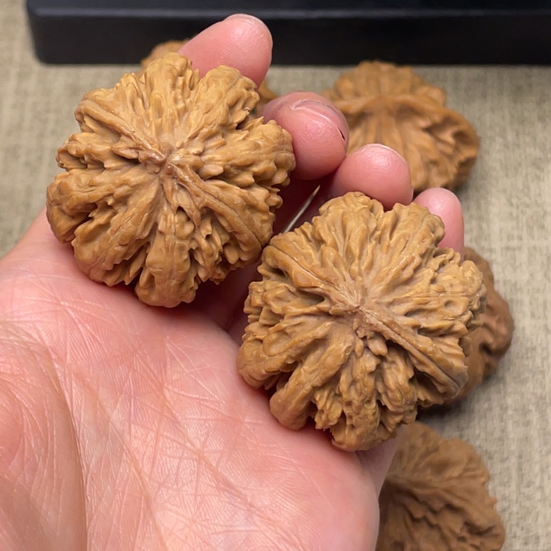 把件文玩核桃秦岭核桃12号