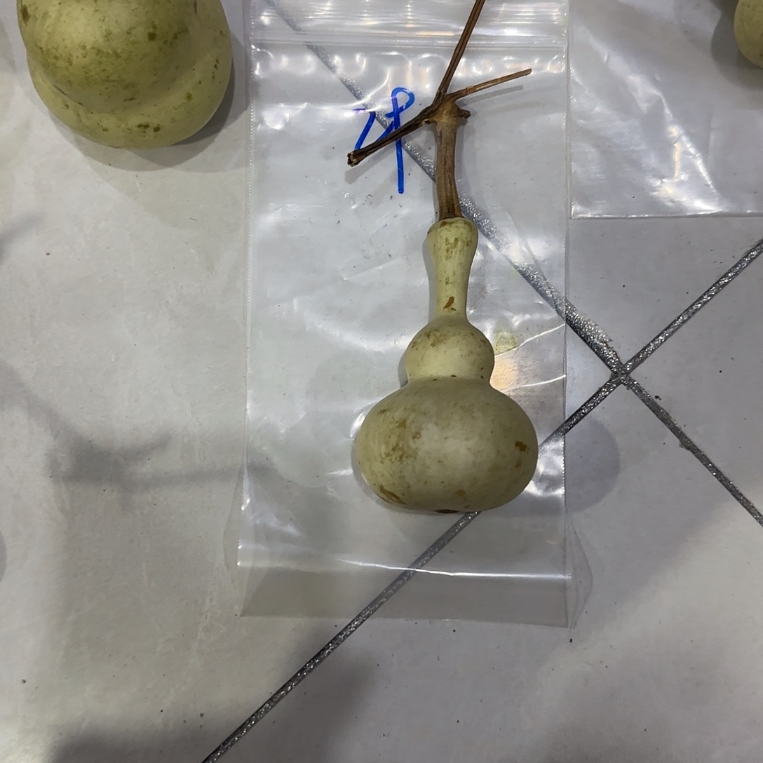 矿***。青皮不包成青皮不包成