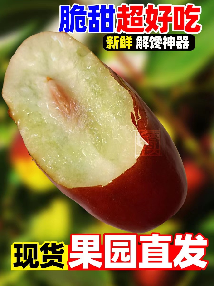 【顺丰速运】产地直发 脆甜可口灵武长枣 甜枣 枣子 红枣 皮薄送礼