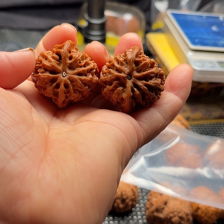 桃核把件全品秦闷边36肚36
