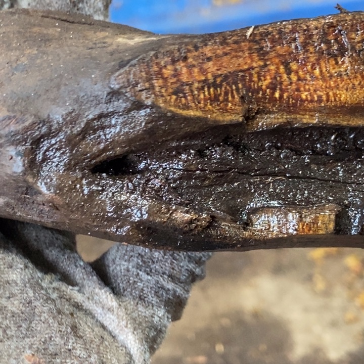 派***居贡木把件定制不退不换