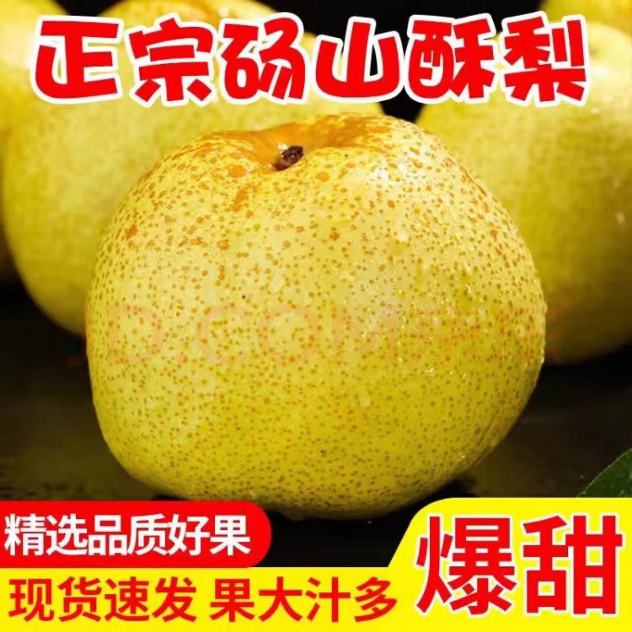 正宗砀山酥梨微黄口感更佳纯甜新鲜水果梨子甜酥脆老人孕妇放心吃