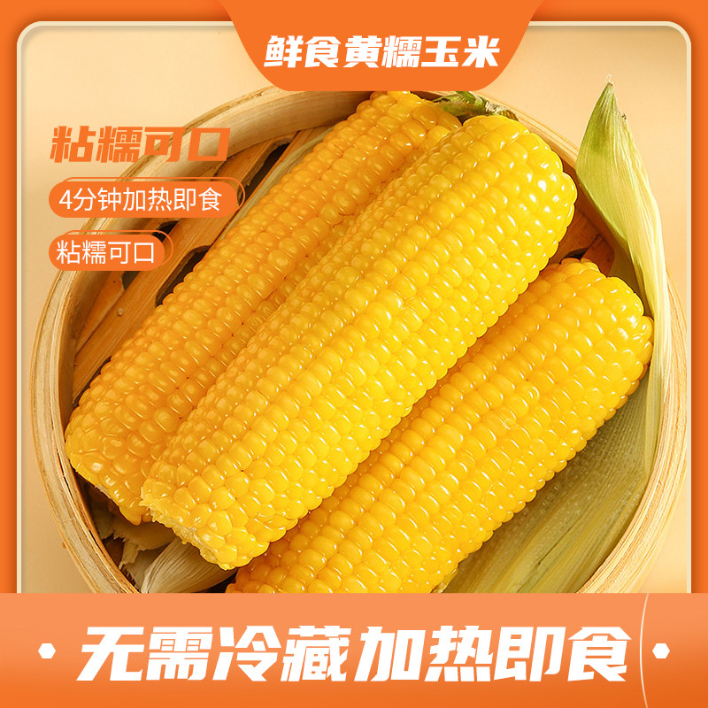 【玉到米】吉林黄糯玉米200g*10根 北纬延边颗粒饱满加热蒸煮