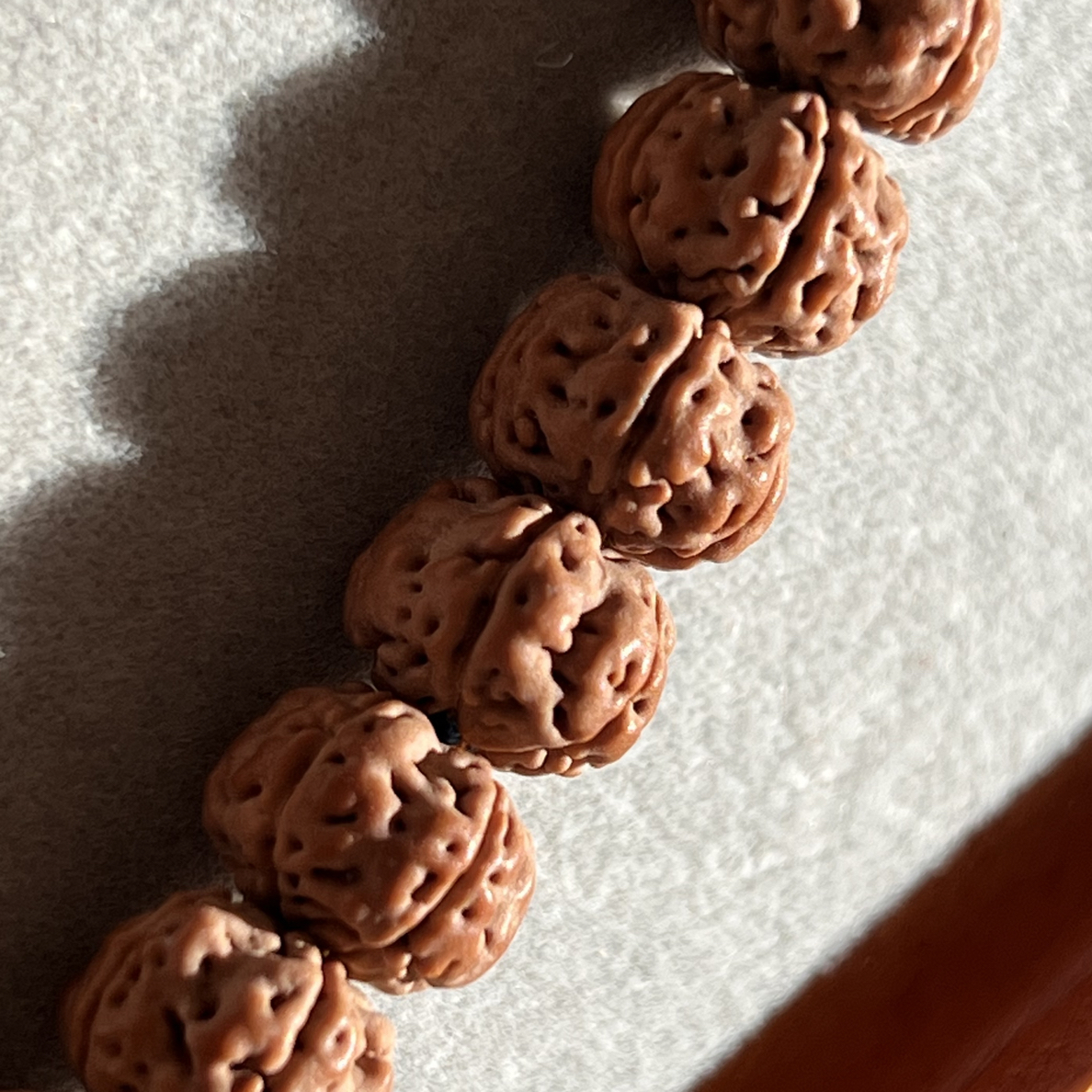 SS甄选款。纯血老树王。平头平尾，粗筋爆肉，误差0.2，尺寸10.2x7.1。