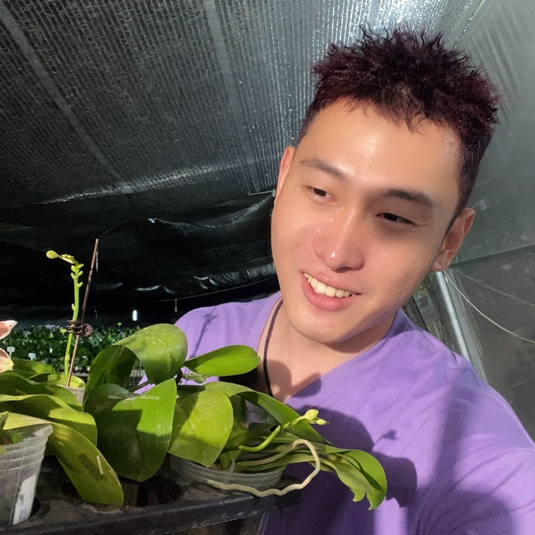 无花朵紫咖啡福利