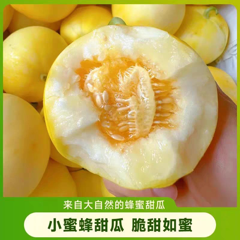 山东头茬小蜜蜂星甜20甜瓜新鲜香甜当季应季水果