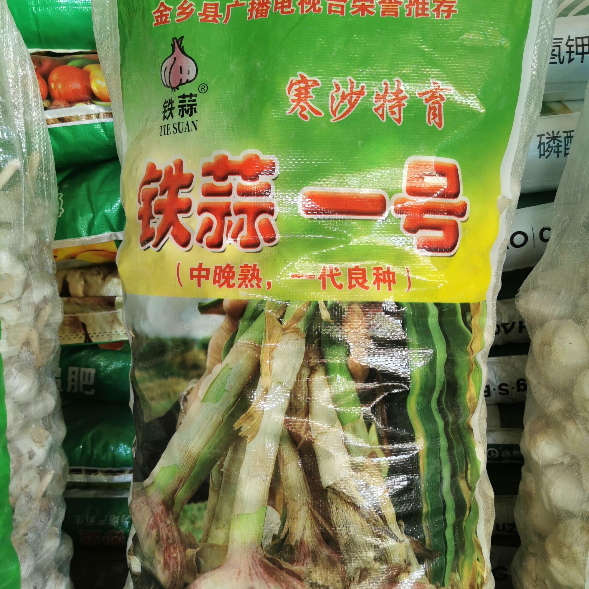 大蒜铁蒜晚熟大蒜