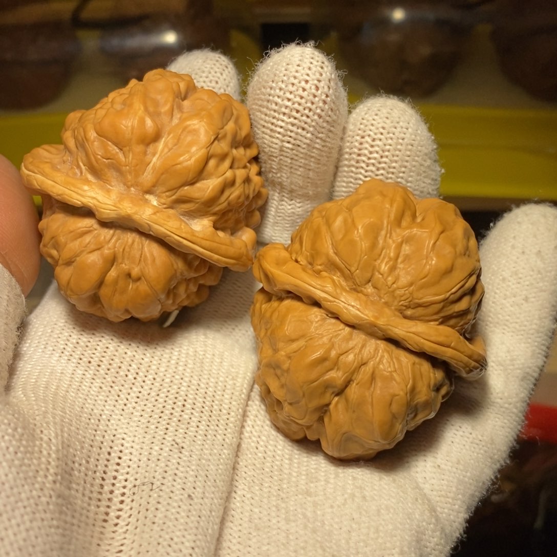 蛤蟆头41尺精卡精配