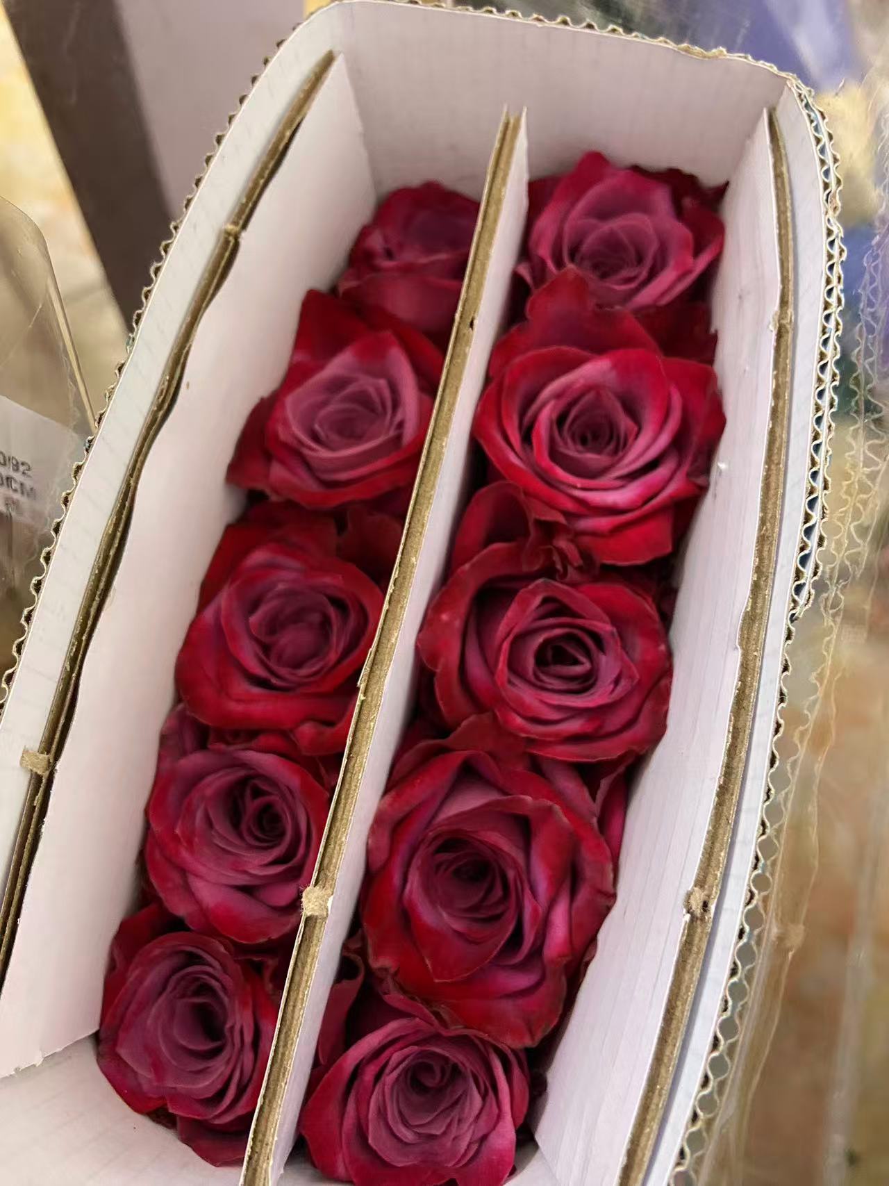 【伊微塔】A级稀有单头玫瑰‘玖枝花优选’云南直发 鲜切花材