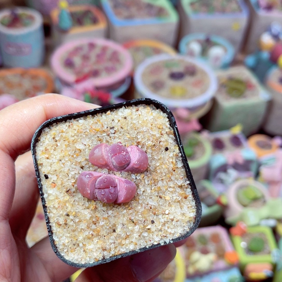 010. 67887766766566677