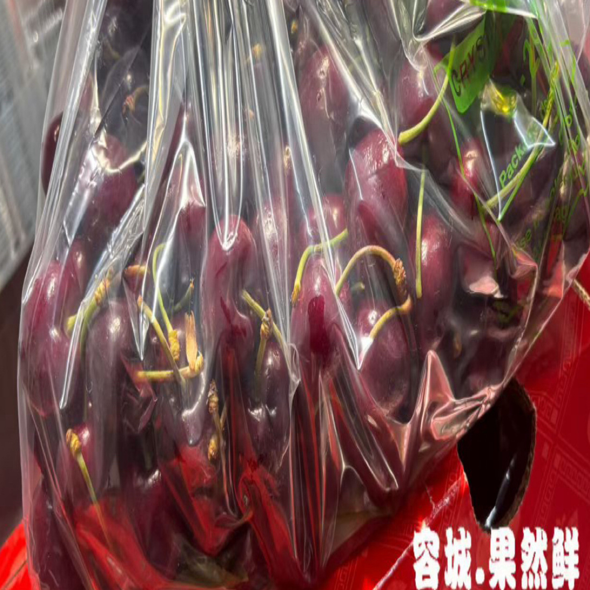 桑提那车厘子JD3.5斤盒装，海运，盒内有卡尺桑提娜樱桃