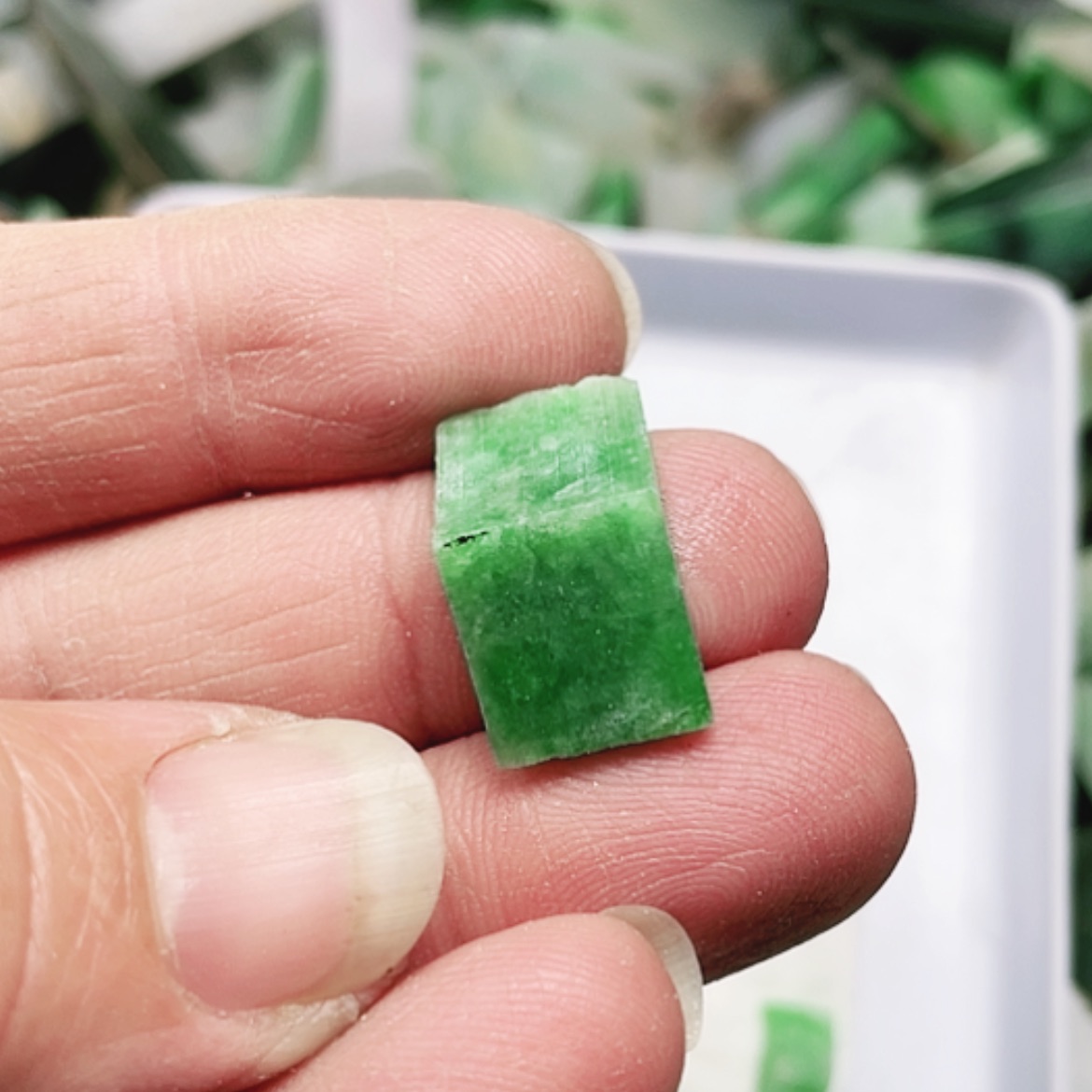 【闪购商品】翡翠颈饰未镶嵌A货