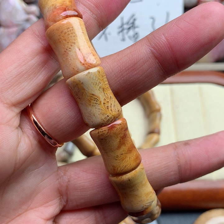 硅化珊瑚（珊瑚玉）颈饰未镶嵌