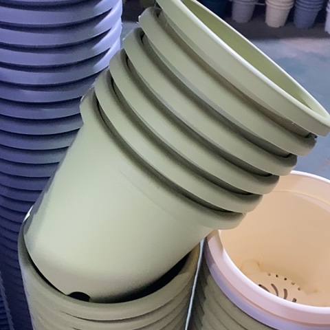 树脂四季3号6个带拖果绿