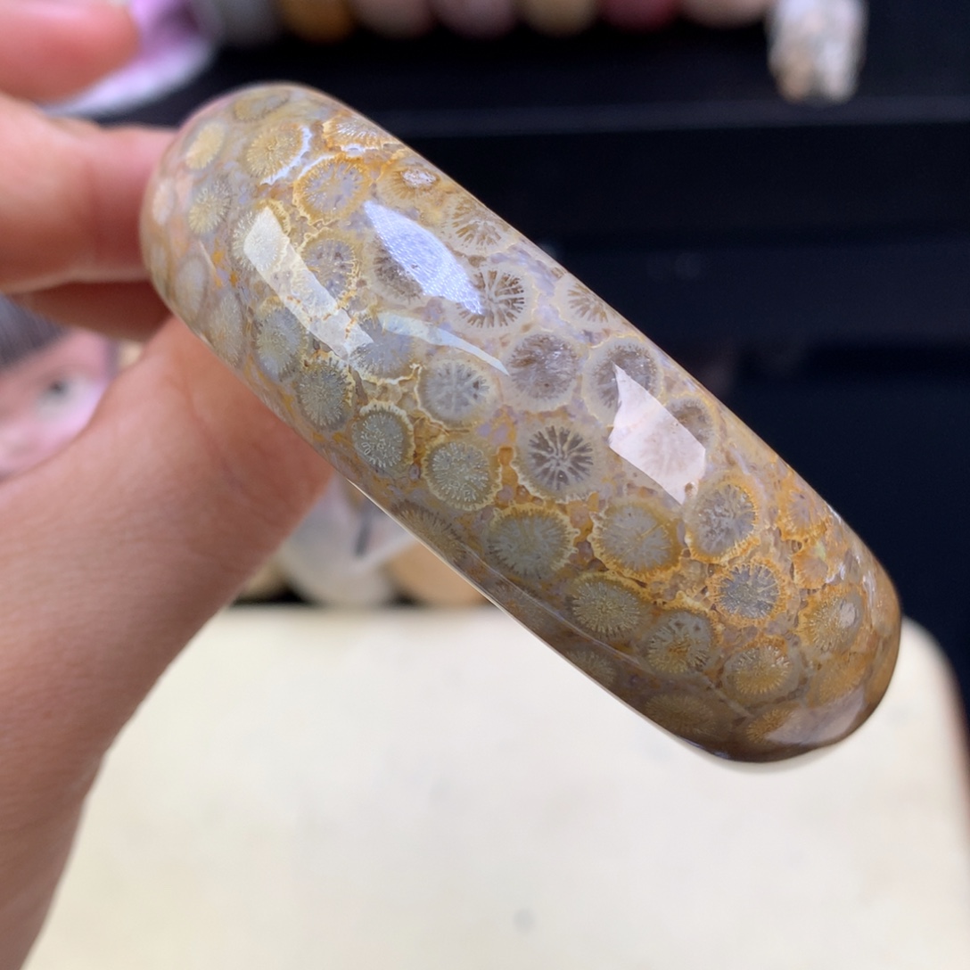 硅化珊瑚（珊瑚玉）未镶嵌吊坠(赠链)五折手镯56.7圈口（10号）