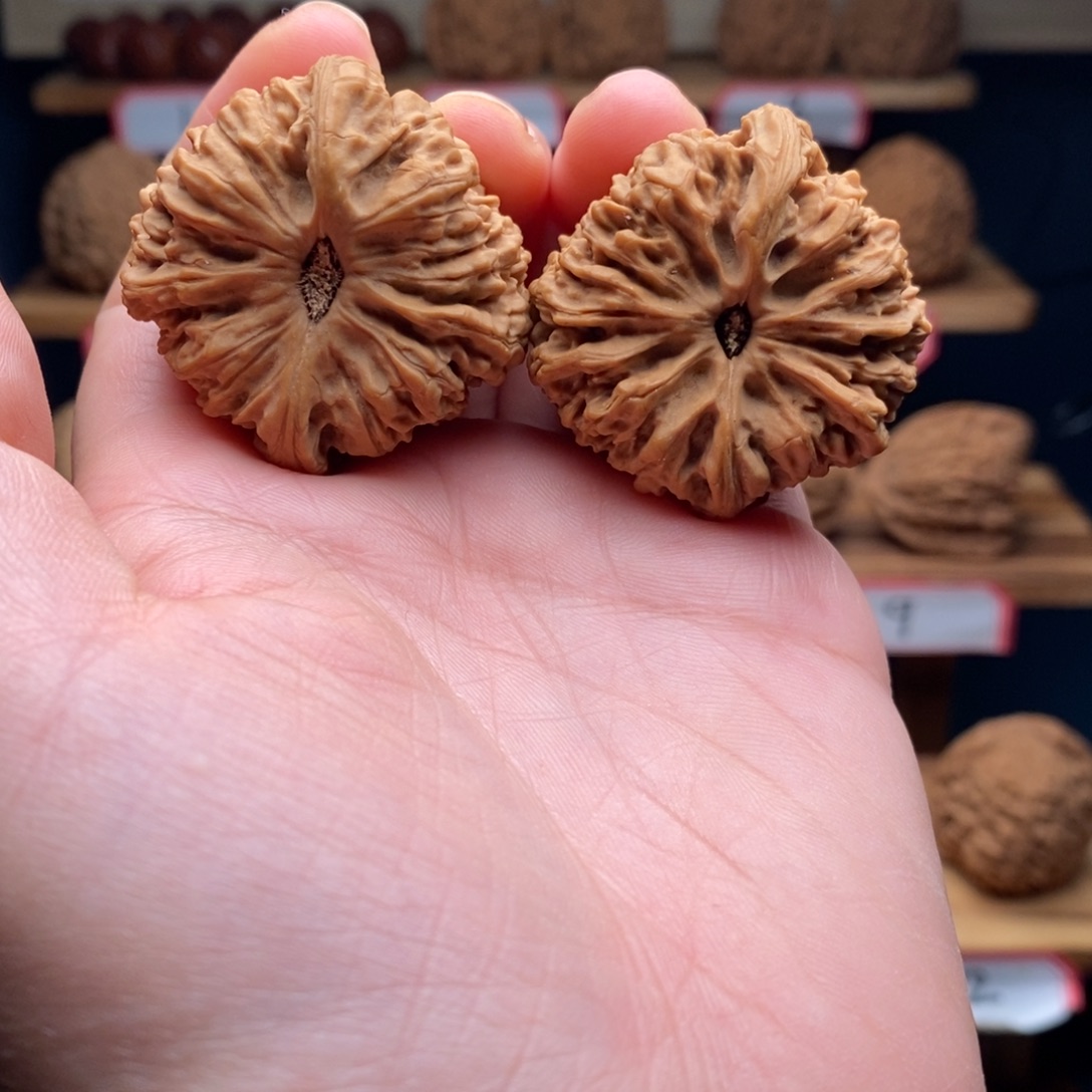 *****南将石文玩核桃天残39