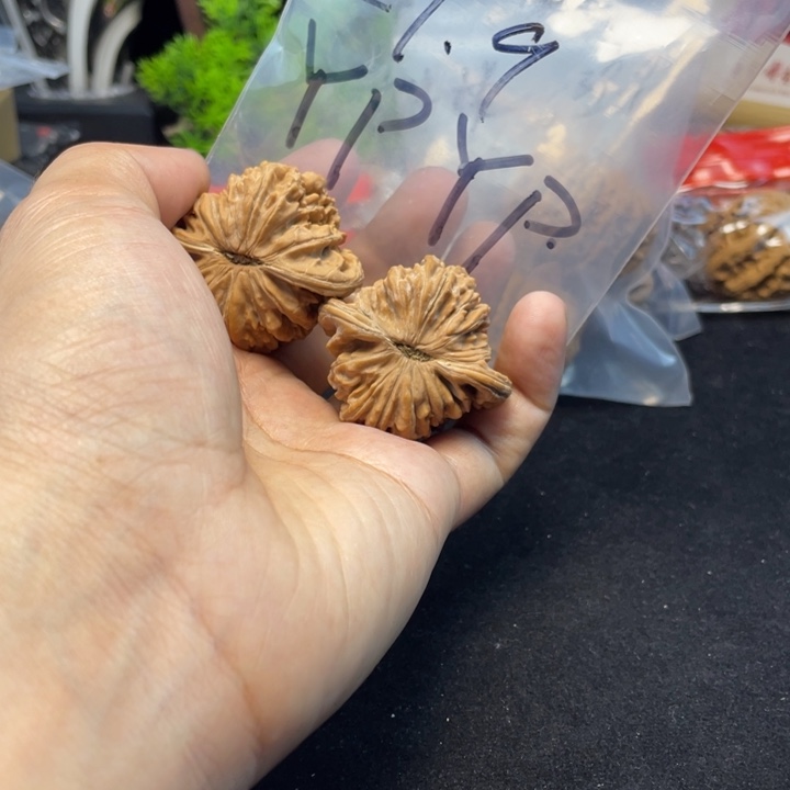 文玩核桃把件Y**P四座楼