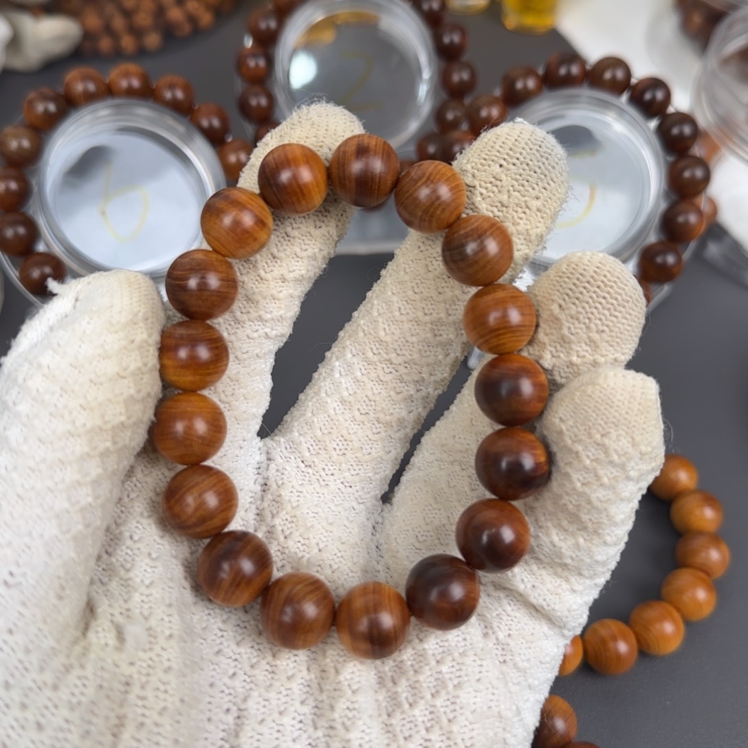 柏木（崖柏）太行崖柏1.2