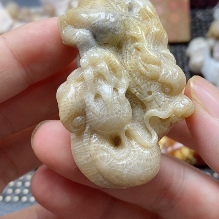 硅化珊瑚（珊瑚玉）颈饰未镶嵌