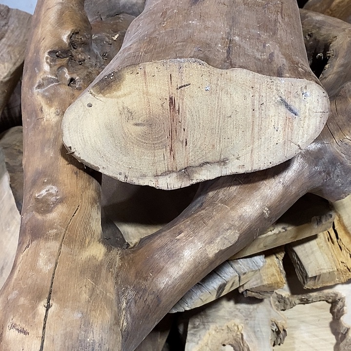 醉***风金丝楠木小叶楠木