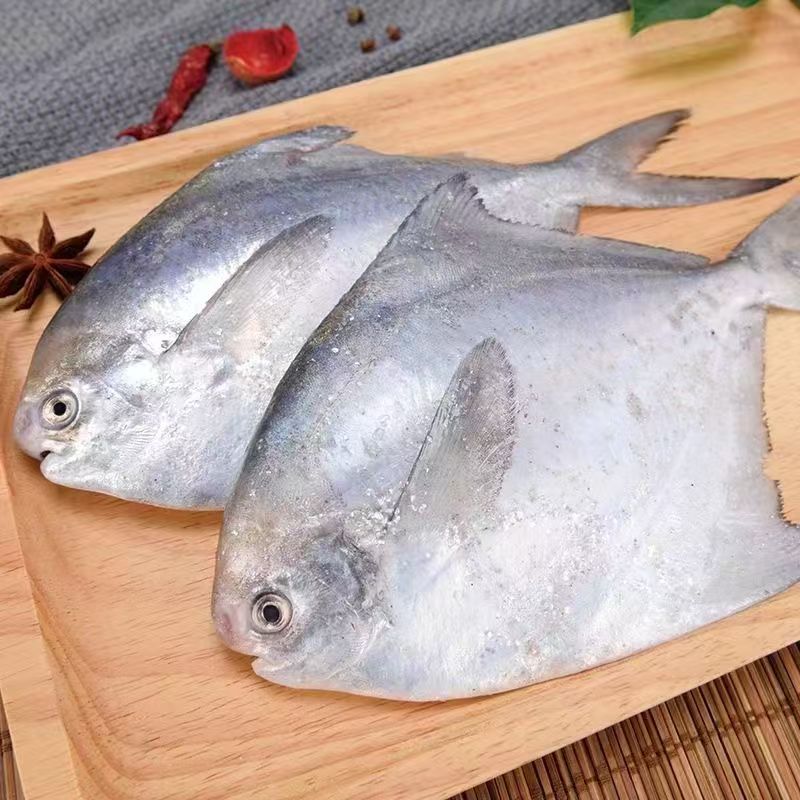 【京东冷链发货】海捕银鲳鱼 肉肥新鲜 一斤/四条 刺少肉嫩 