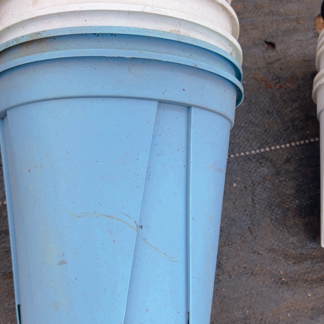 塑料青山盆20.5口径21高 5个