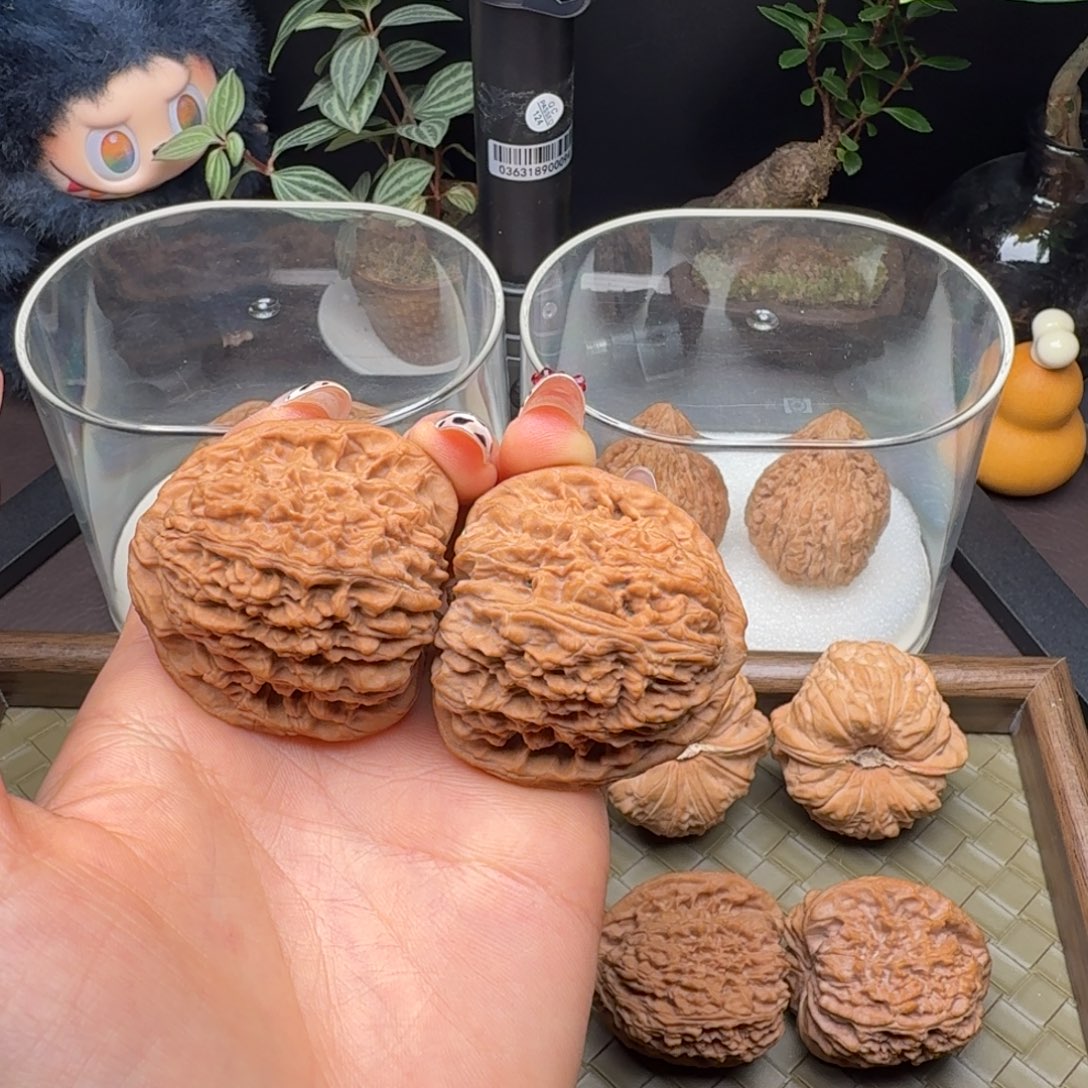 腕***豪核桃全品三角疆45