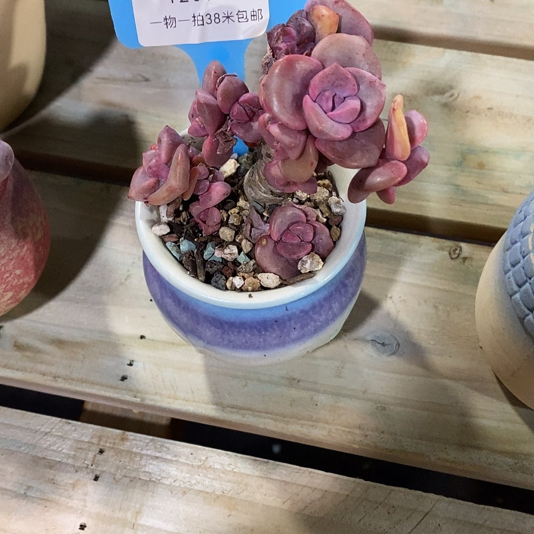 120077凑璐璐图姐姐