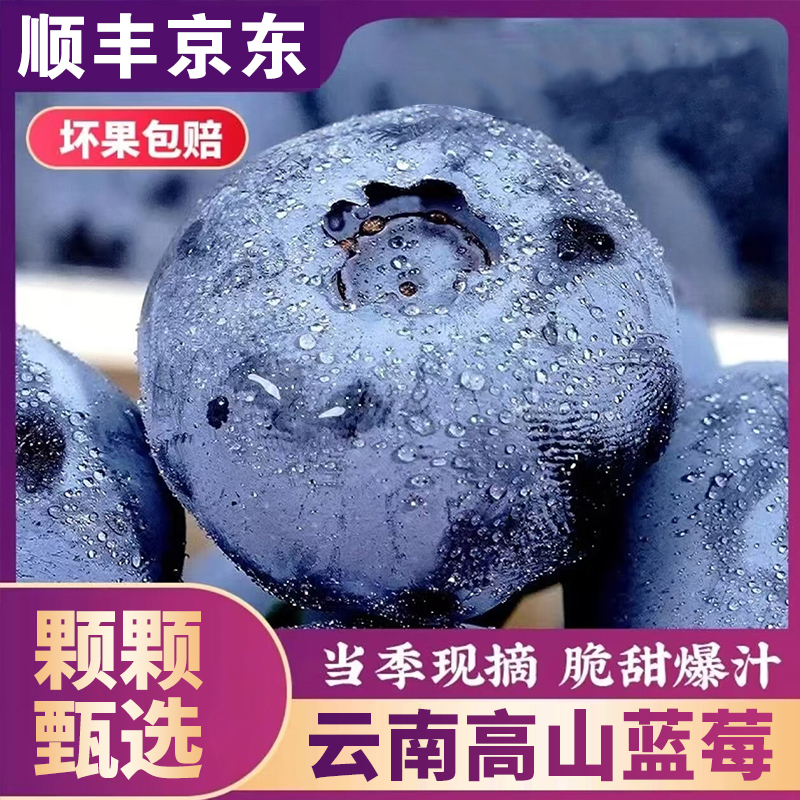 S3【顺丰京东】云南脆甜蓝莓新鲜现摘现发应季水果脆甜(100g/盒)商品图