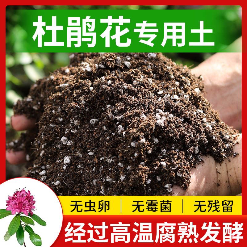 【杜鹃专用土】家庭园艺营养土养花专用土爆花纯植物原料有机营养