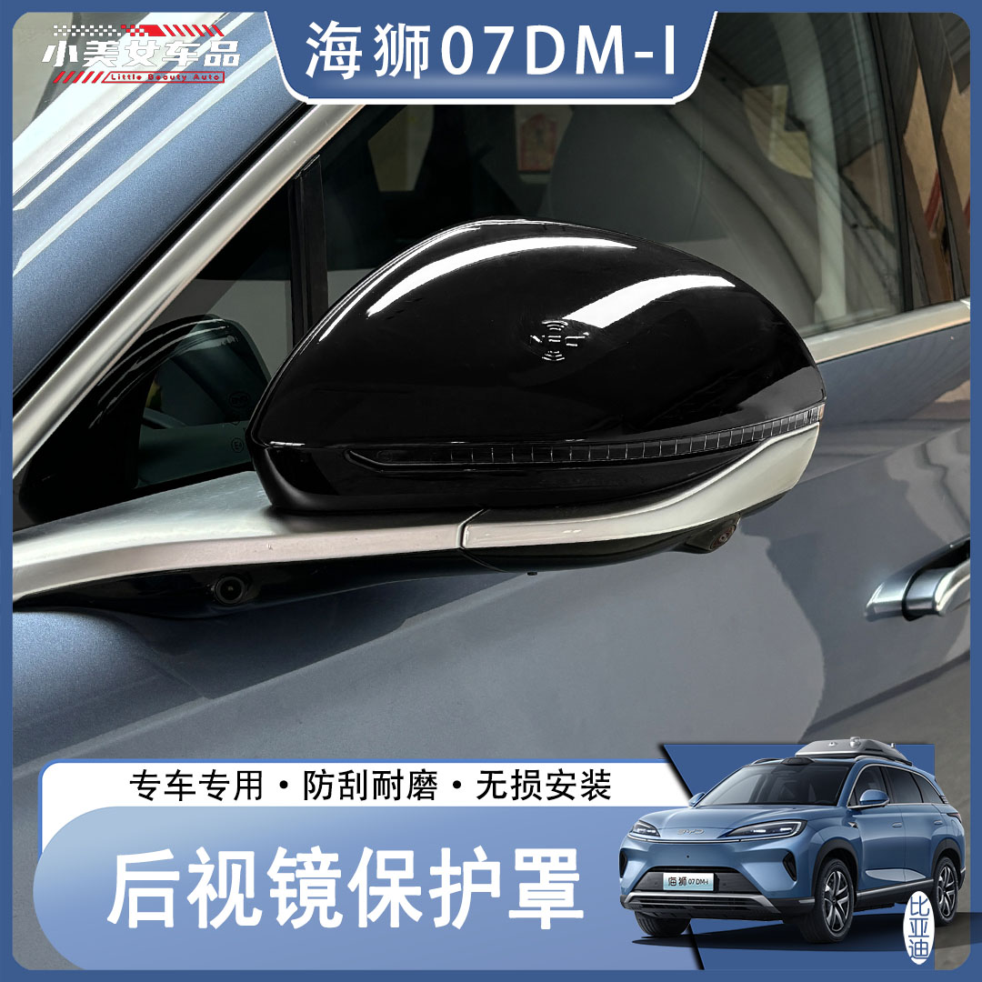 比亚迪海狮07DM-I专用碳纤纹后视镜改装用品
