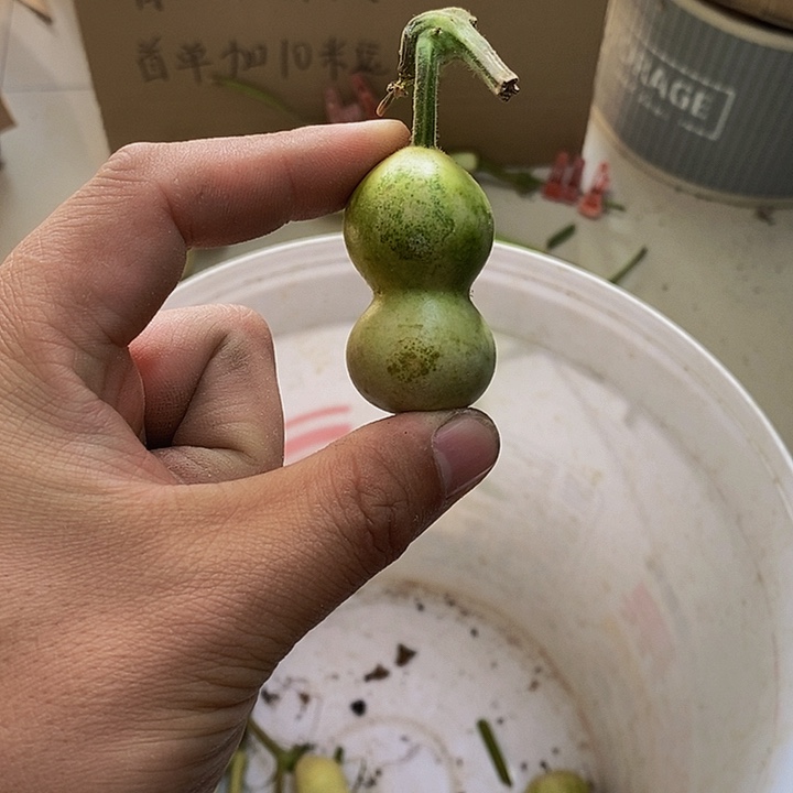 王*爷长嘴哈哈哈哈哈哈哈哈哈哈哈哈回家