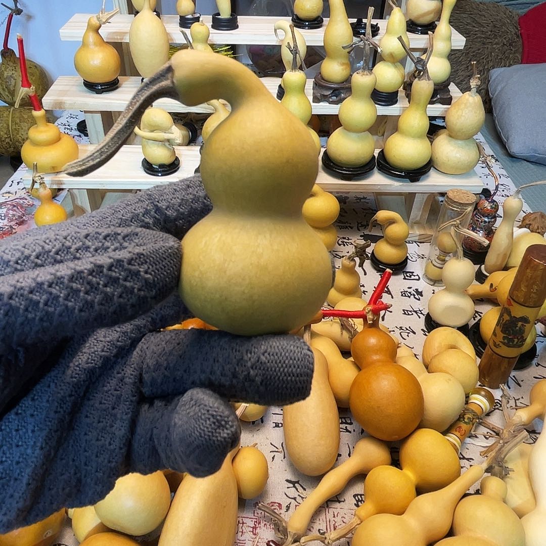 L***S回家来咯哦咯摸摸