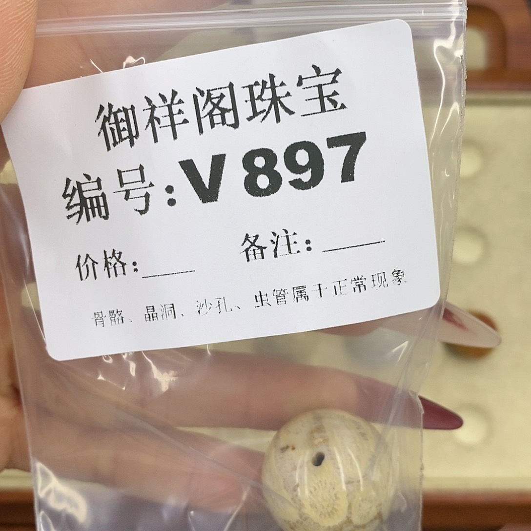 硅化珊瑚（珊瑚玉）颈饰未镶嵌国*