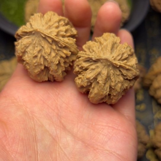 文玩核桃把件秦岭核桃28