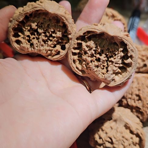 文玩核桃吊坠46.5聚宝盆