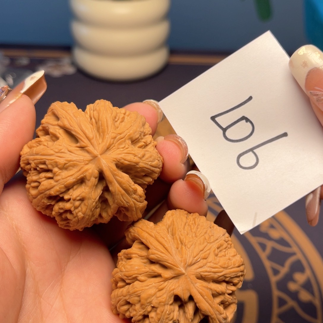 文玩核桃把件粗筋47