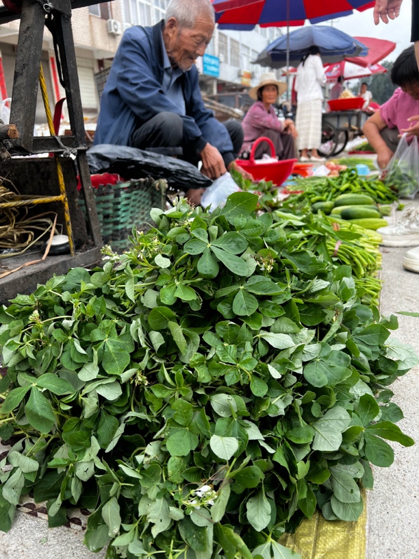 湖北新城新鲜荆芥、白花菜、韭菜、辣椒农家揉制（偏远地区运费➕15元）
