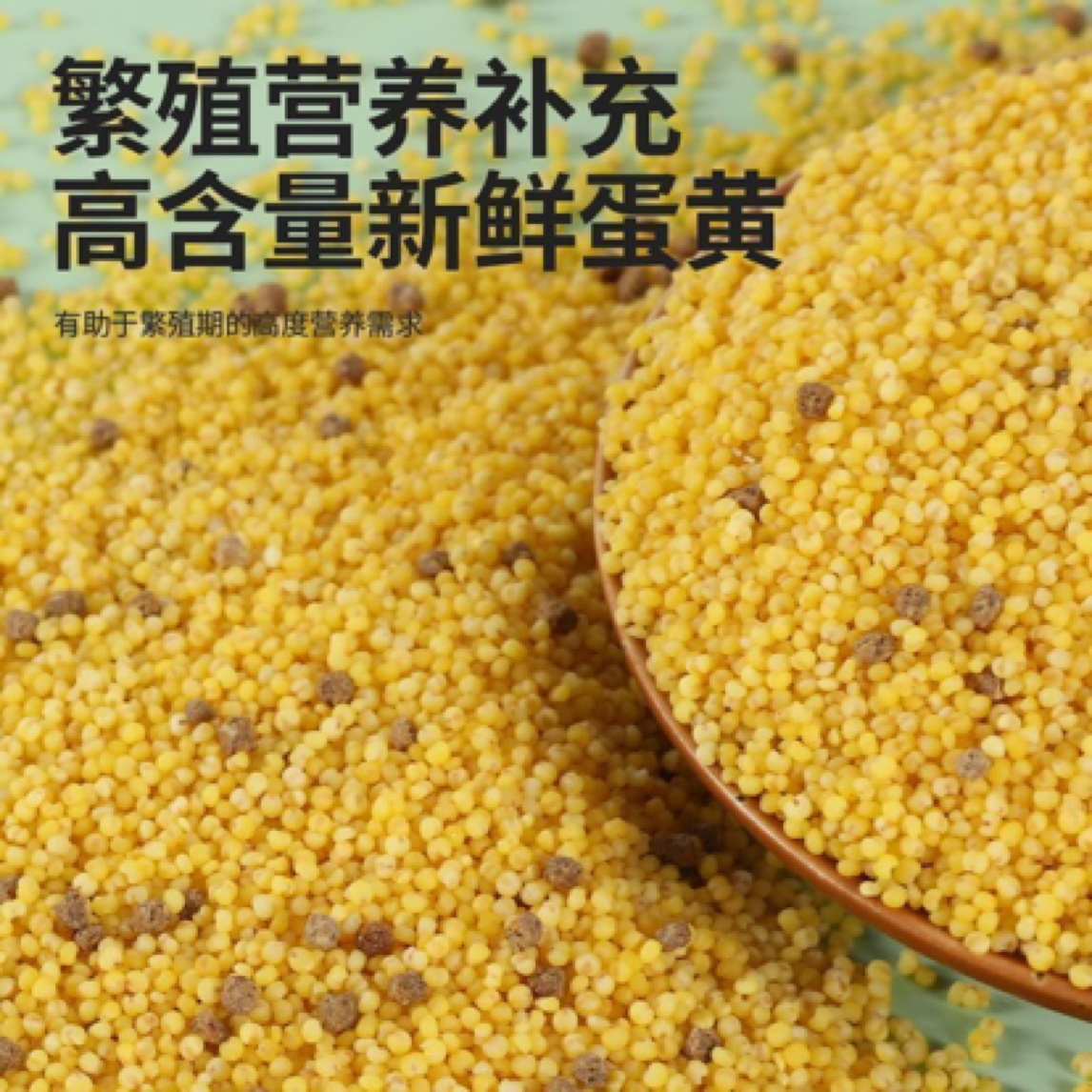 鹦鹉(饲料牡丹、玄凤、虎皮需保鲜)繁殖期蛋小米和断奶版蛋小米