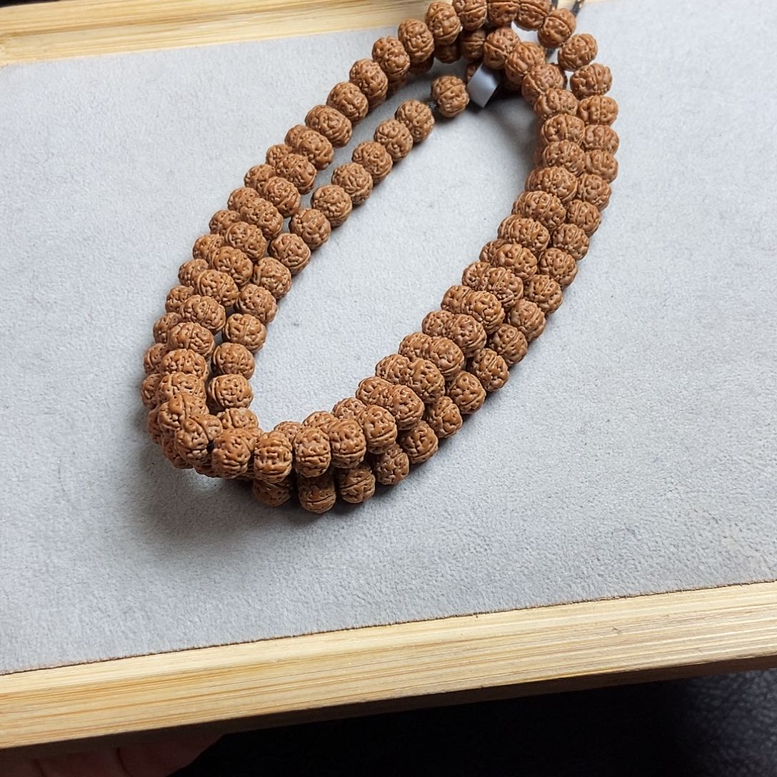 菩提籽类老树王臻选9.4