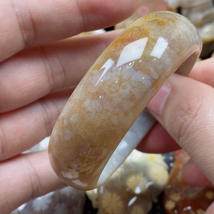 硅化珊瑚（珊瑚玉）颈饰未镶嵌51有瑕