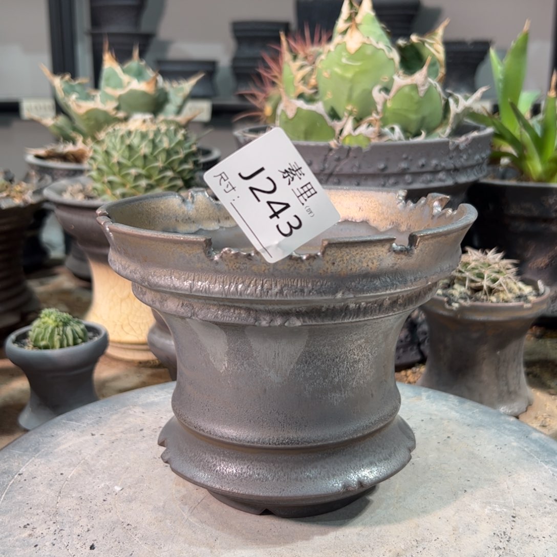 景德镇手工素里口15.5高12.5