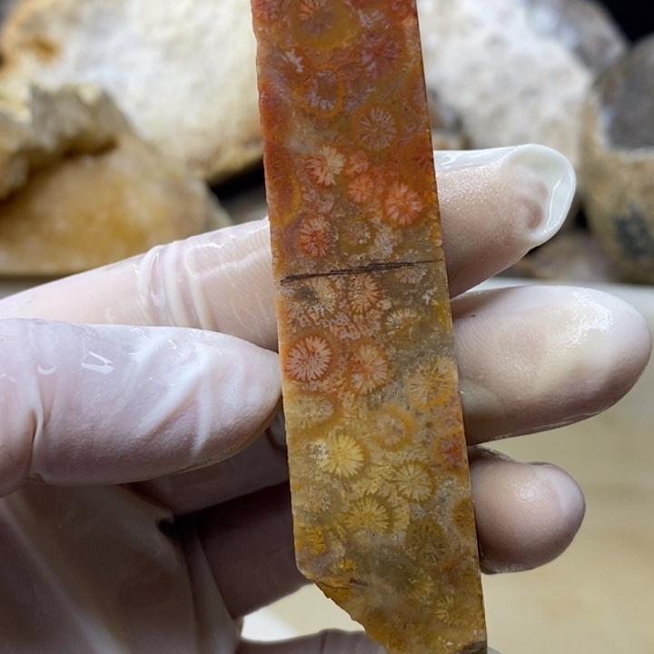 【闪购商品】未镶嵌珊瑚玉硅化玉