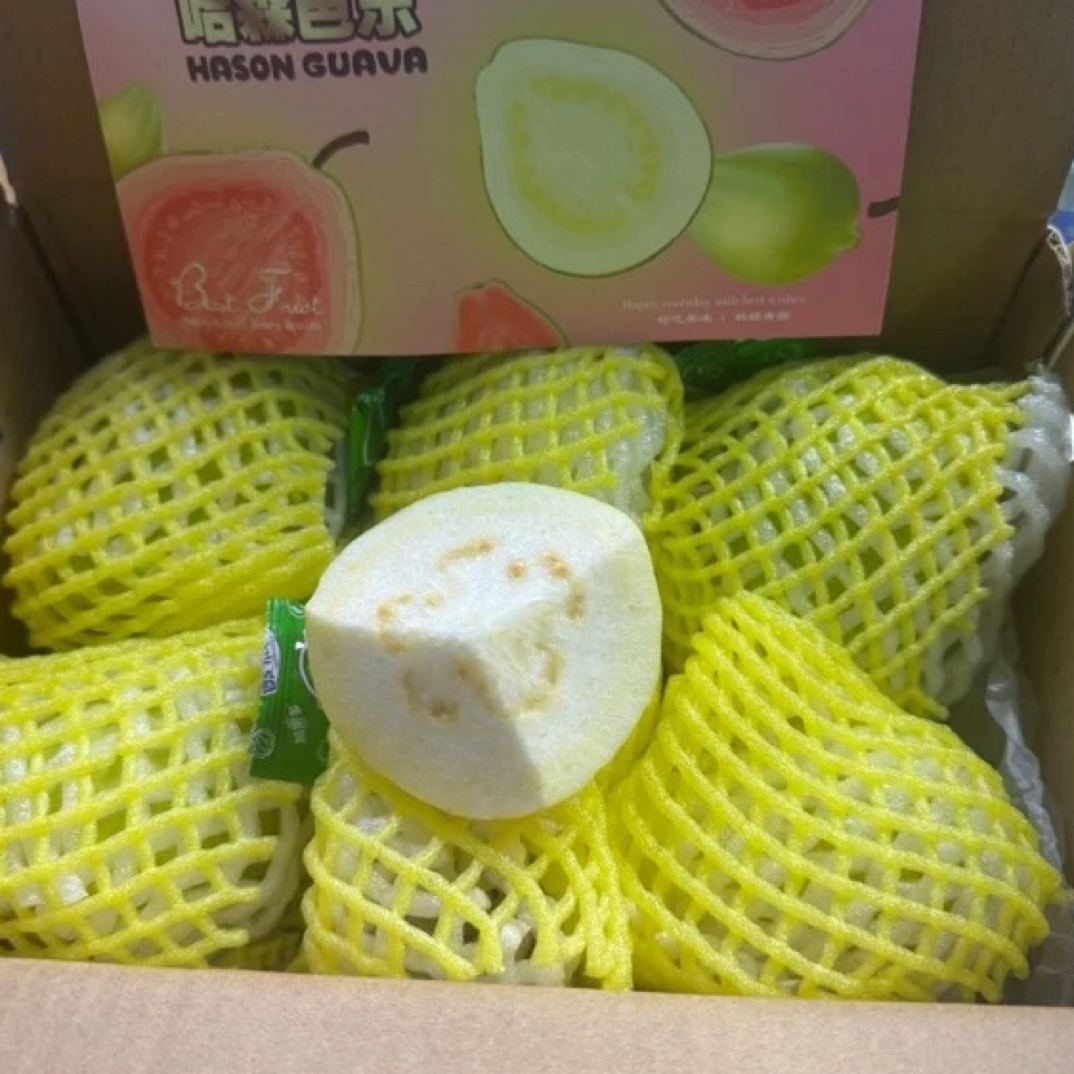 老牛优选 哈森芭乐 白心/红心/双拼 1件净2.5斤 礼盒 快递包邮