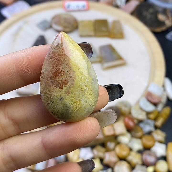 针钠钙石（海纹石）未镶嵌颈饰12