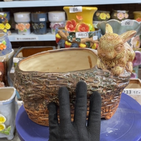 【闪购商品】红陶。
